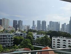 The Rise @ Oxley (D9), Condominium #584333431